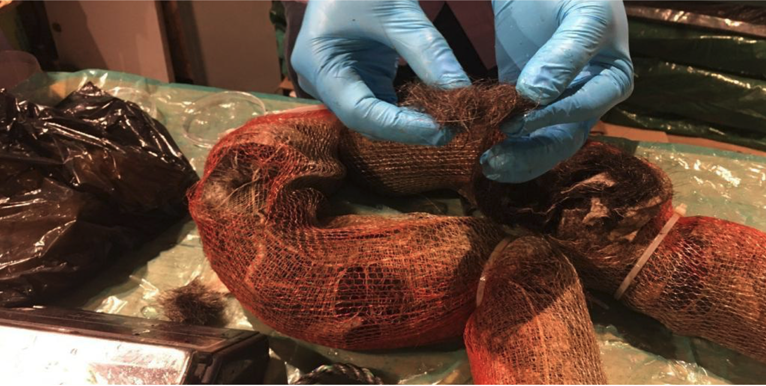 Hands filling a mesh boom with hair