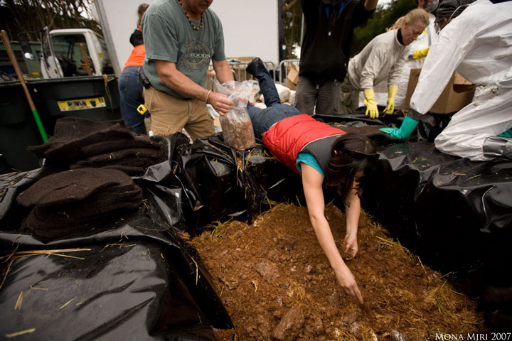 A team working together with natural fibres
